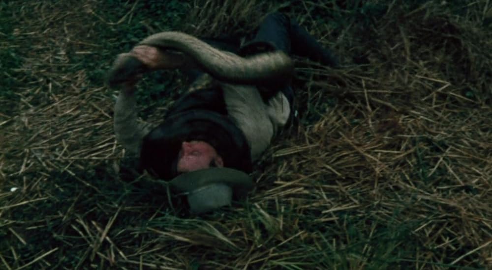 タルトゥの呪い／タートゥ 死霊の呪いの画像