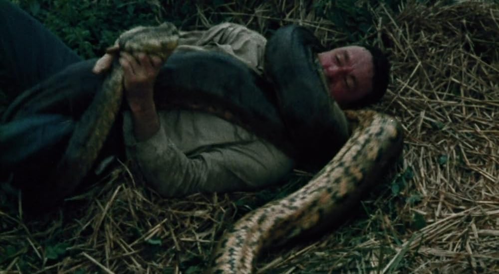 タルトゥの呪い／タートゥ 死霊の呪いの画像