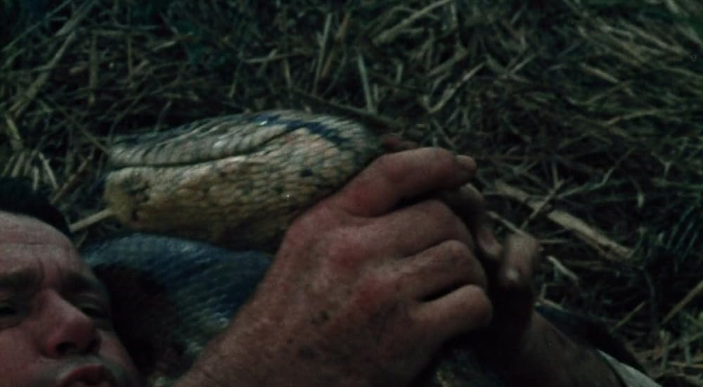 タルトゥの呪い／タートゥ 死霊の呪いの画像