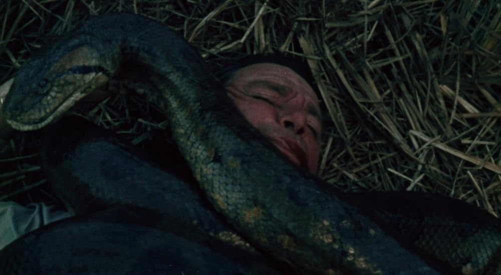 タルトゥの呪い／タートゥ 死霊の呪いの画像