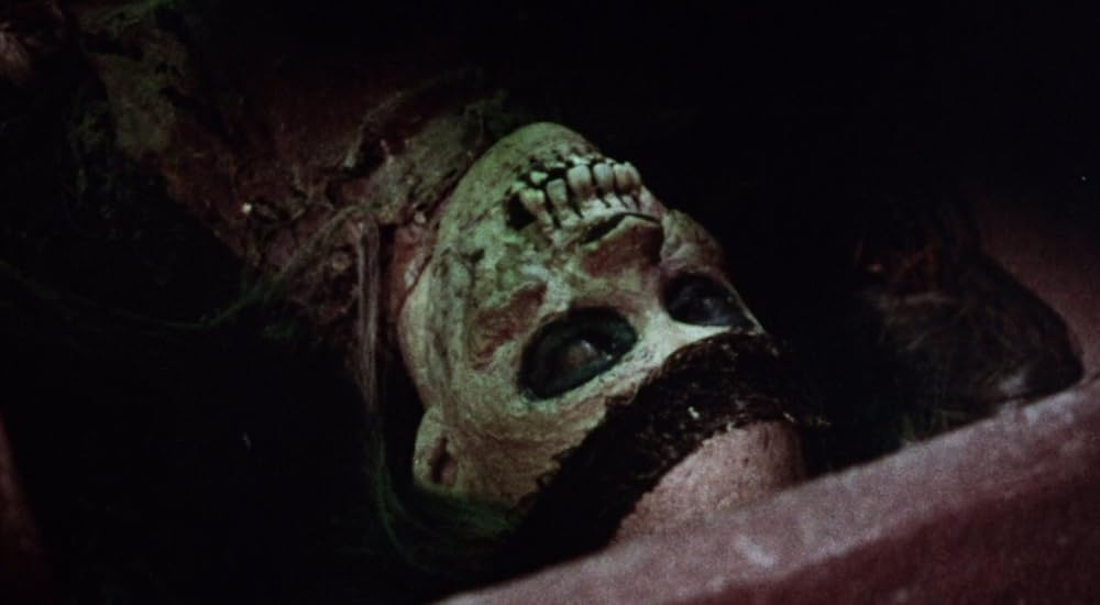 タルトゥの呪い／タートゥ 死霊の呪いの画像