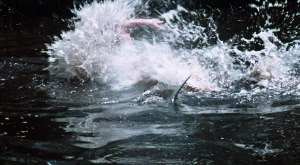 タルトゥの呪い／タートゥ 死霊の呪いの画像