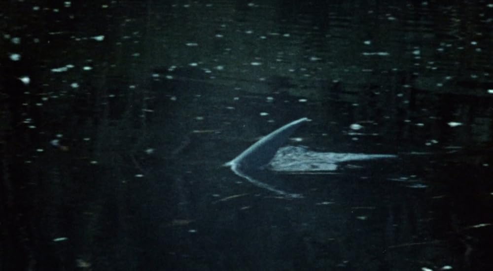 タルトゥの呪い／タートゥ 死霊の呪いの画像