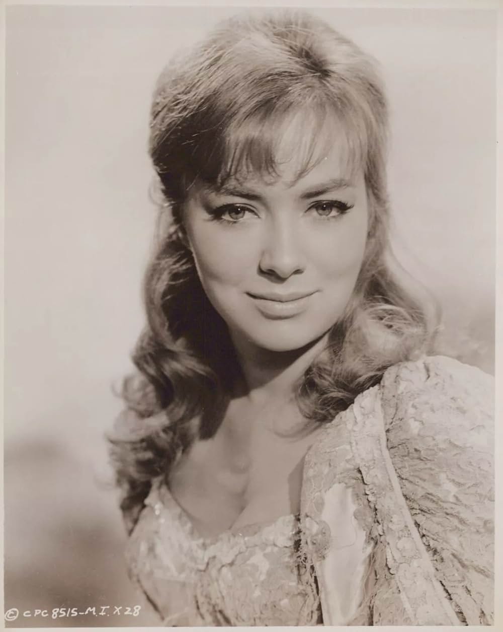 SF巨大生物の島の画像