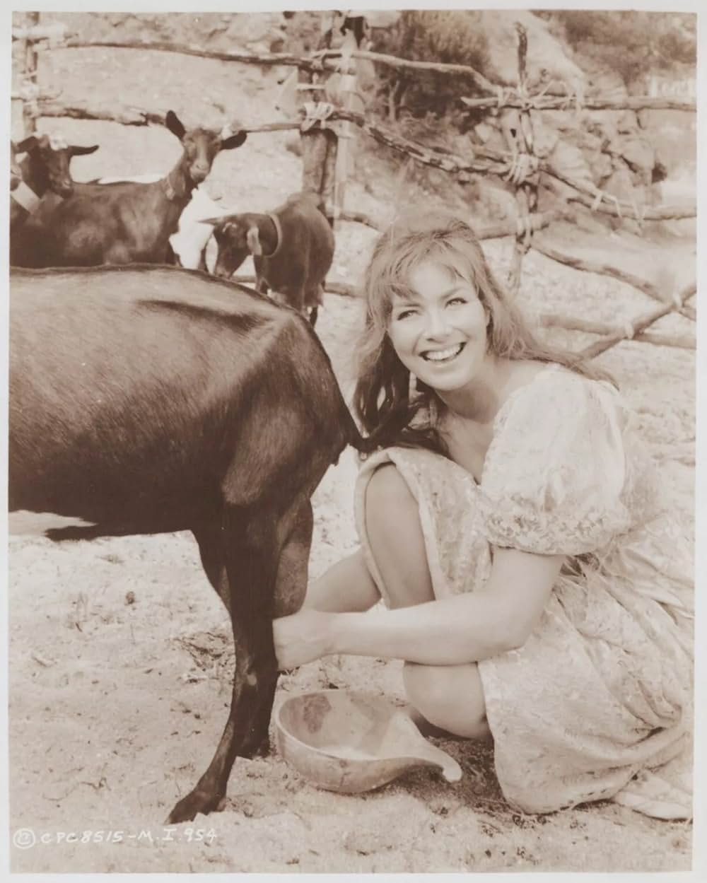 SF巨大生物の島の画像