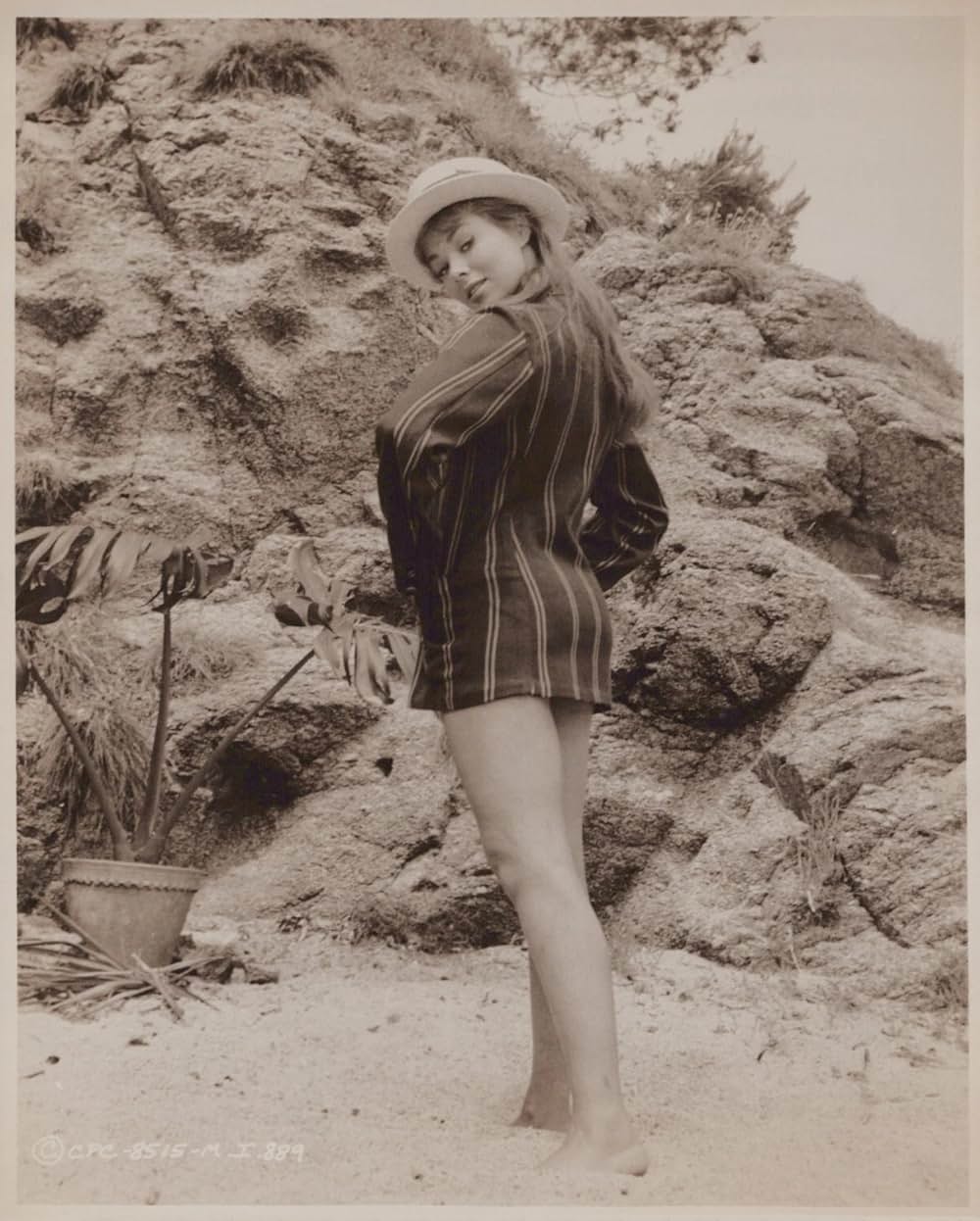 SF巨大生物の島の画像