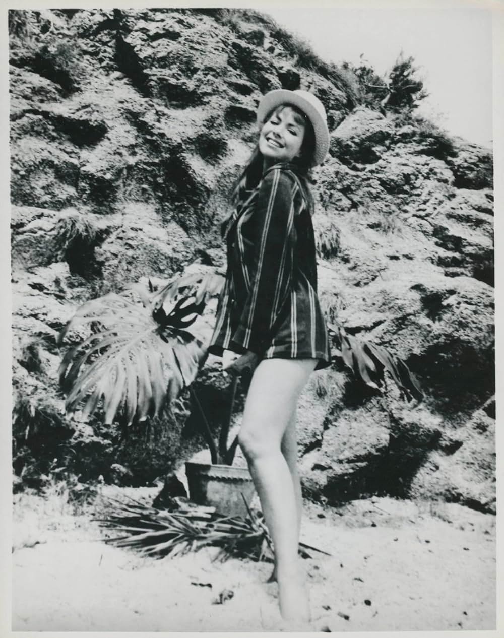 SF巨大生物の島の画像