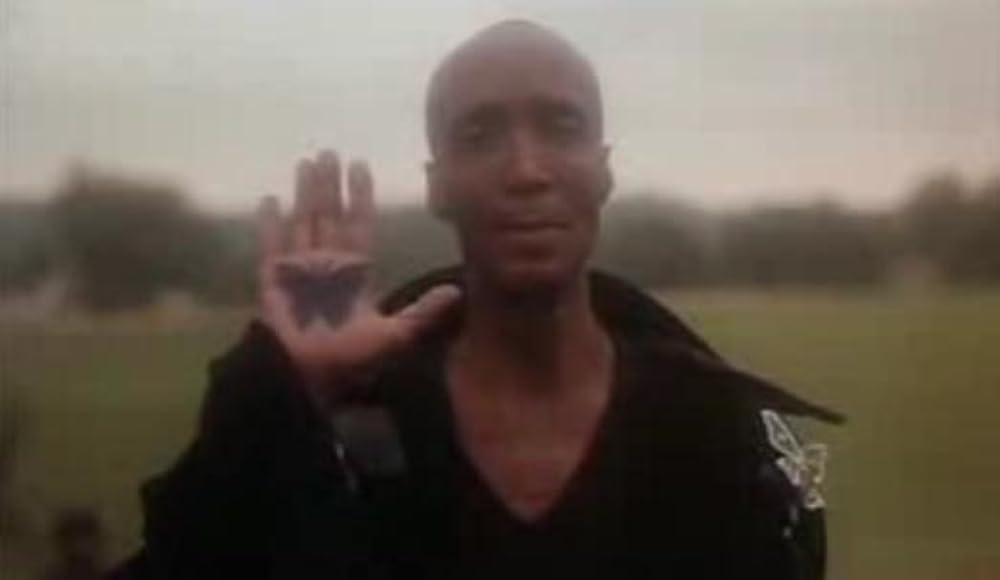 ナイトライダーズの画像