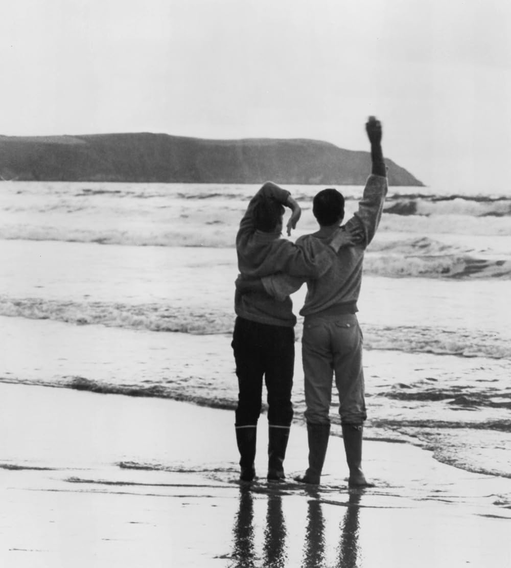 海に帰る日の画像