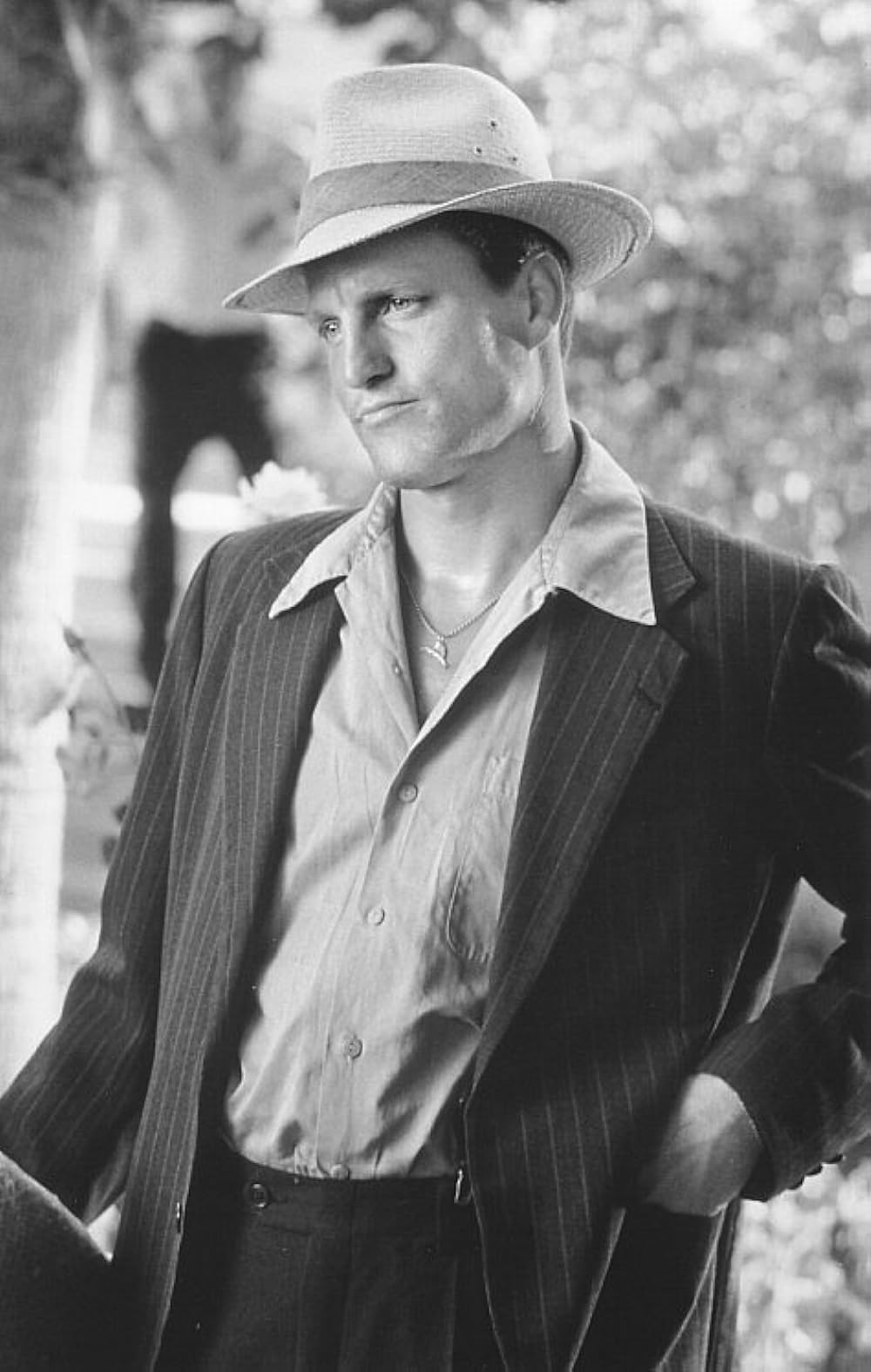 「レア魔性の肉体／パルメット」ウッディ・ハレルソンの画像