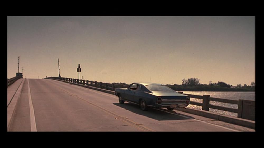 「レア魔性の肉体／パルメット」の画像