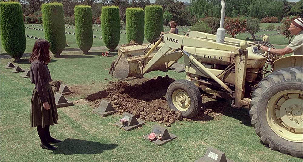 スウィーティーの画像