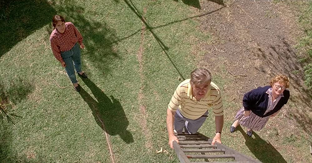 スウィーティーの画像