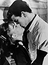 草原の輝きの画像