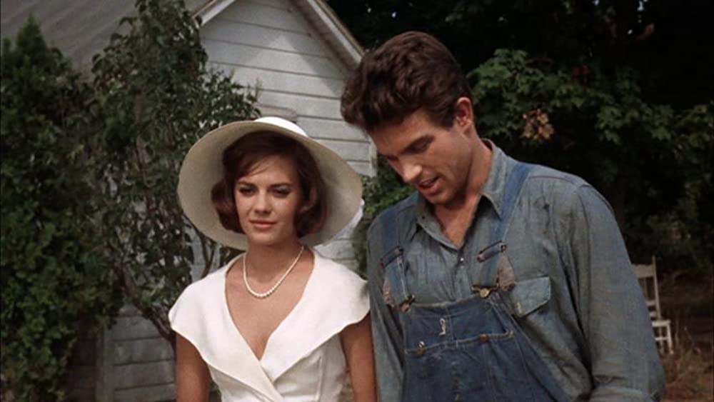 草原の輝きの画像