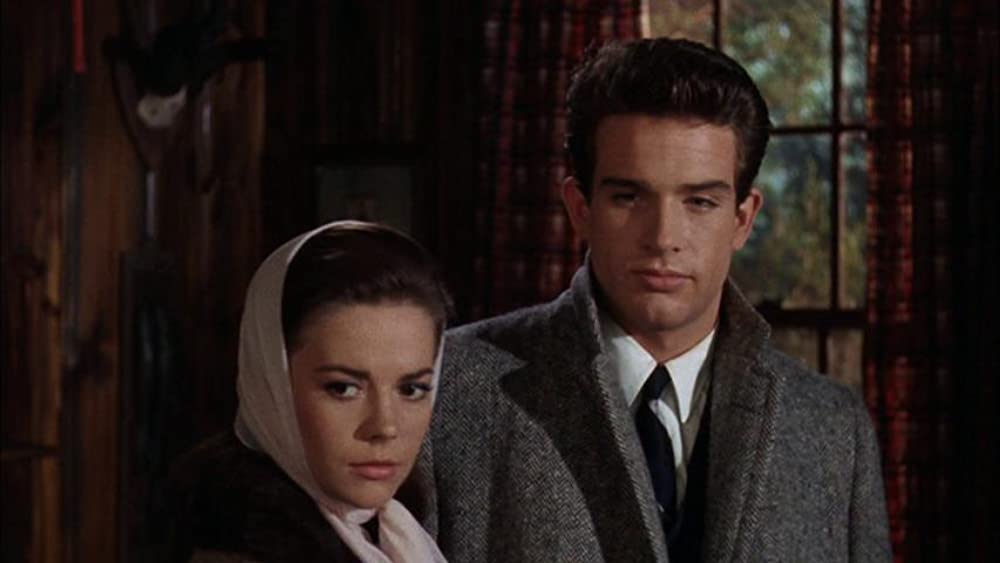 草原の輝きの画像