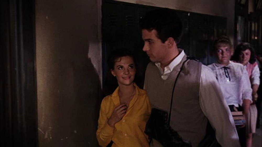 草原の輝きの画像