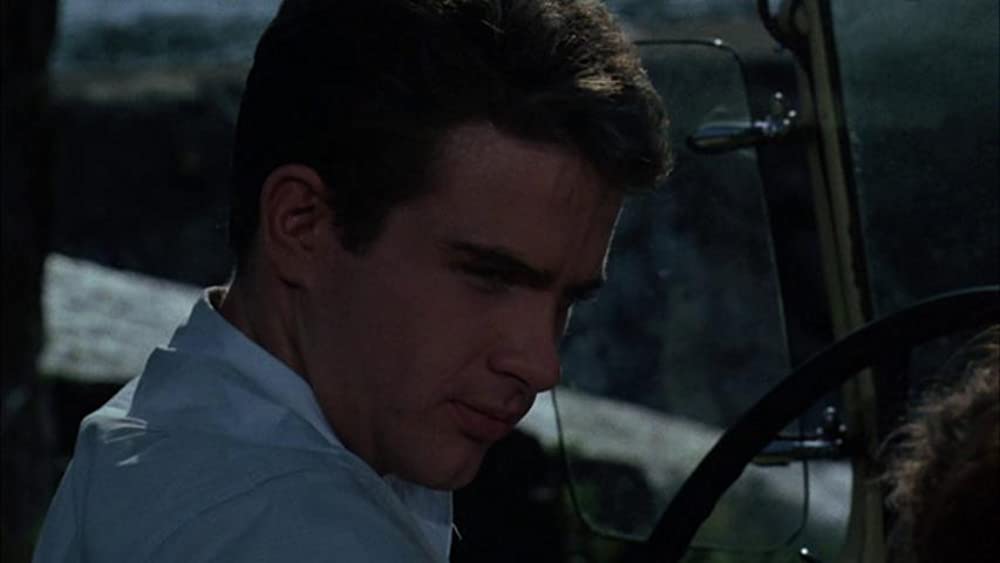 草原の輝きの画像