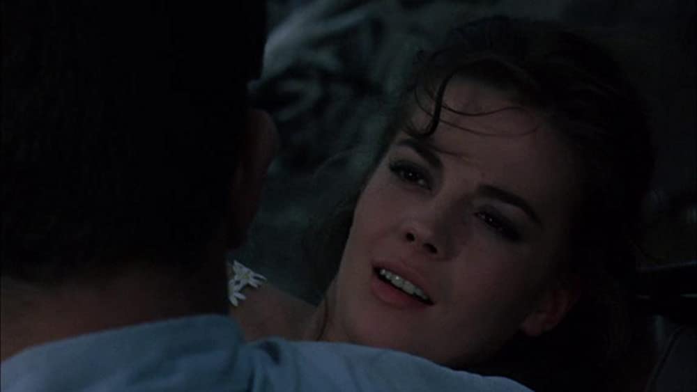 草原の輝きの画像