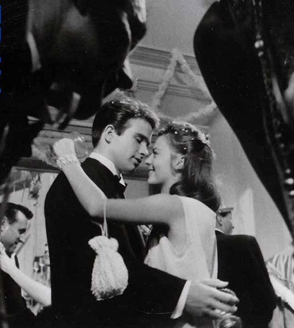 草原の輝きの画像