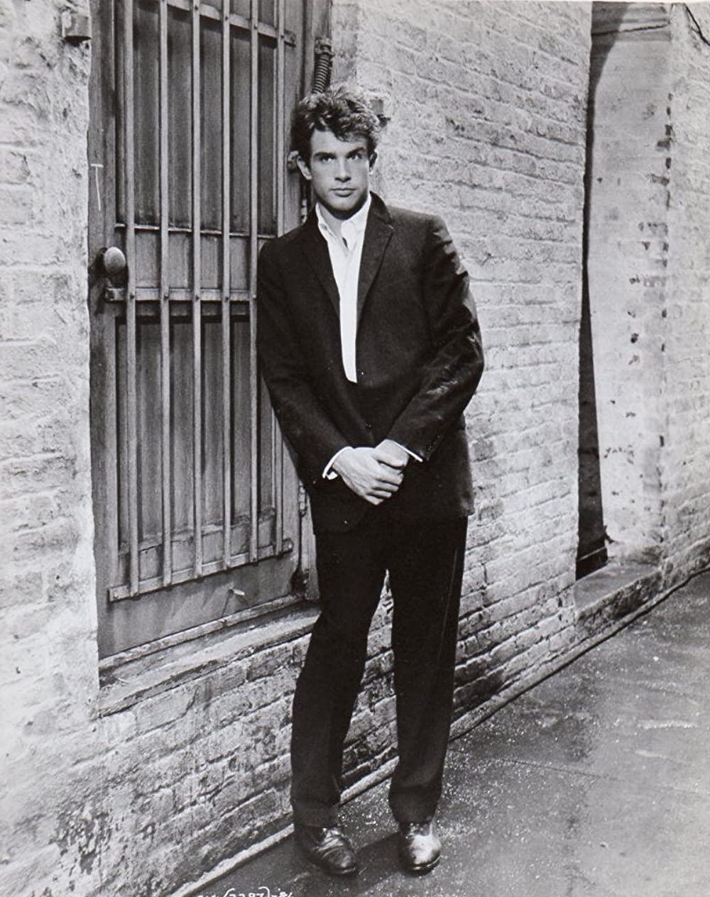 草原の輝きの画像