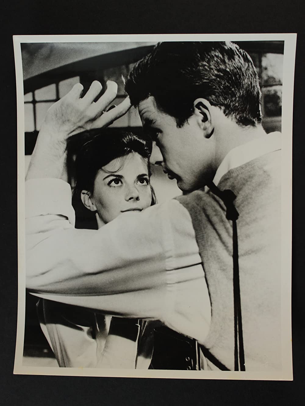 草原の輝きの画像