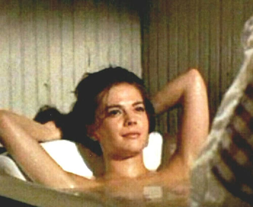 草原の輝きの画像