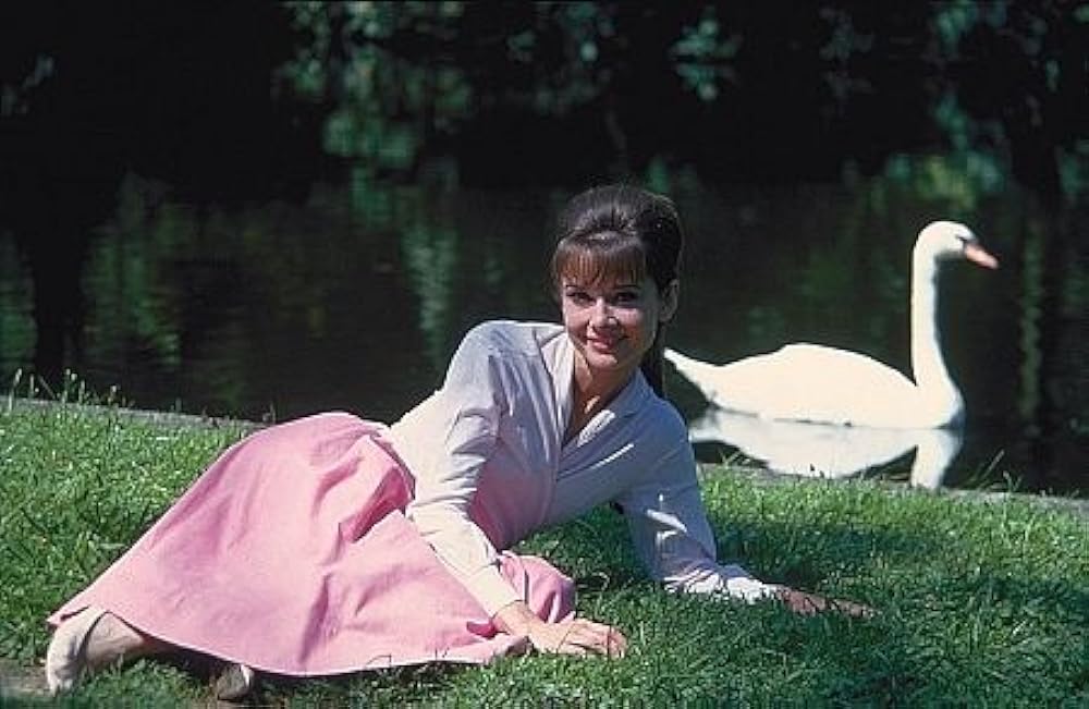 「パリで一緒に」オードリー・ヘプバーンの画像