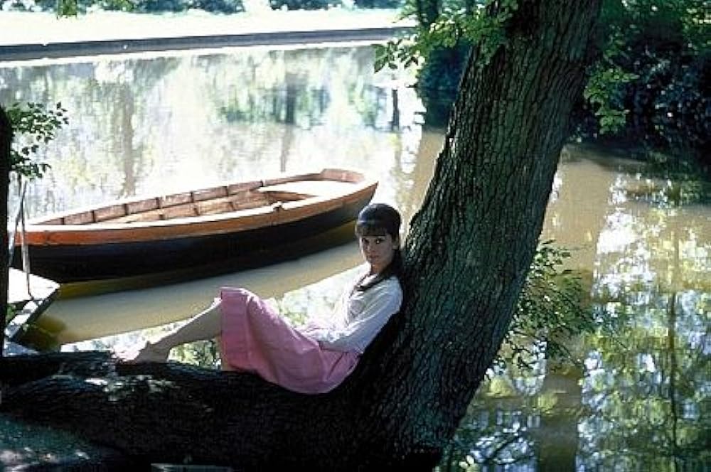 「パリで一緒に」オードリー・ヘプバーンの画像