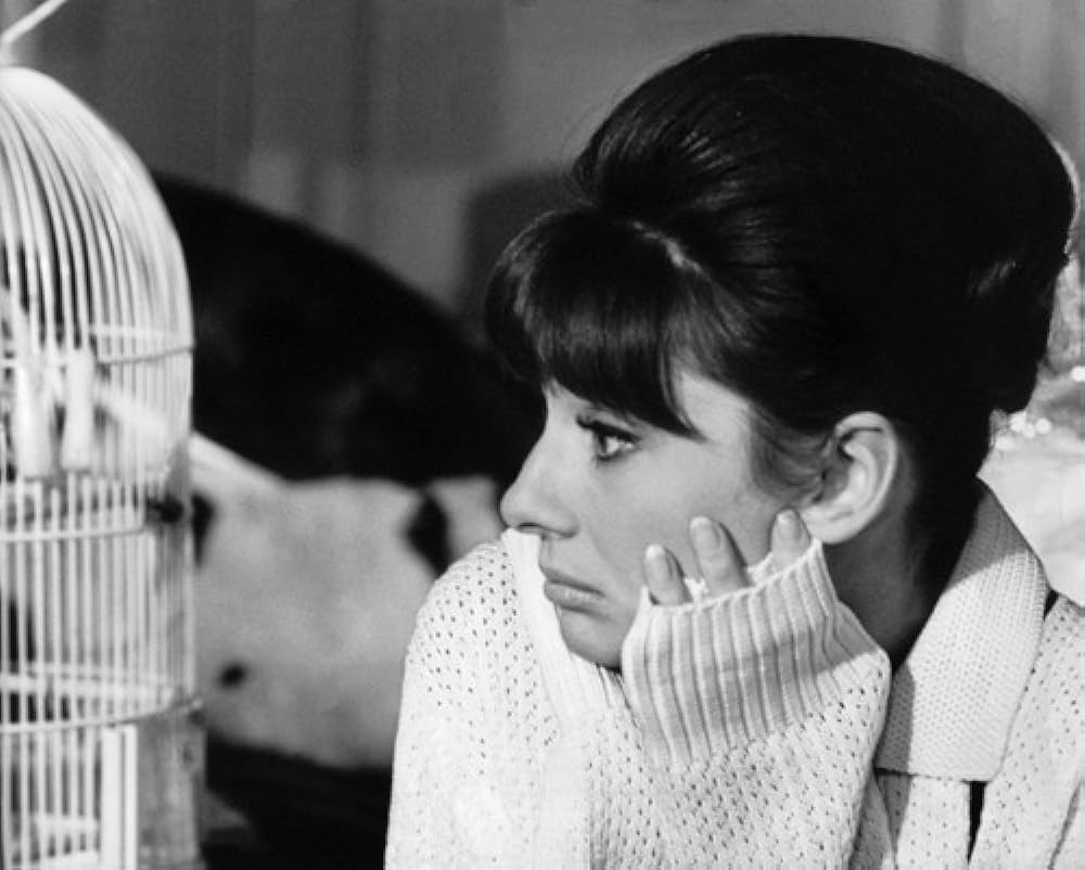 「パリで一緒に」オードリー・ヘプバーンの画像