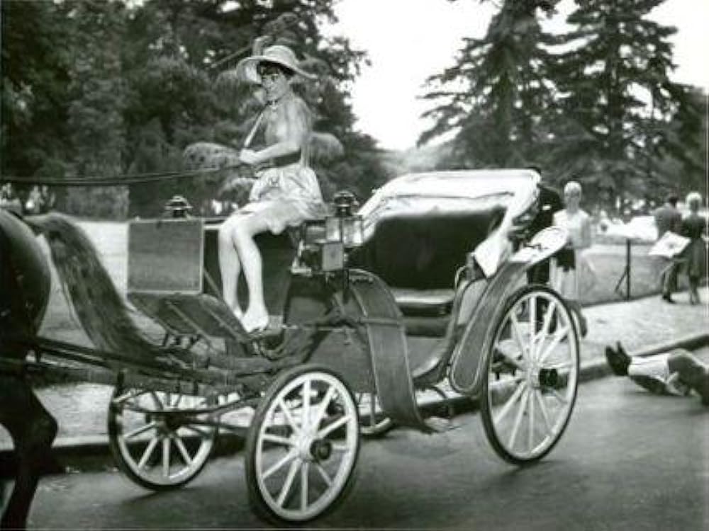 「パリで一緒に」オードリー・ヘプバーンの画像