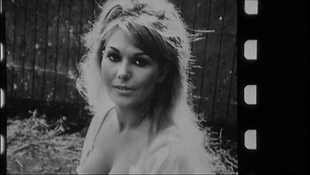 スプレンドールの画像