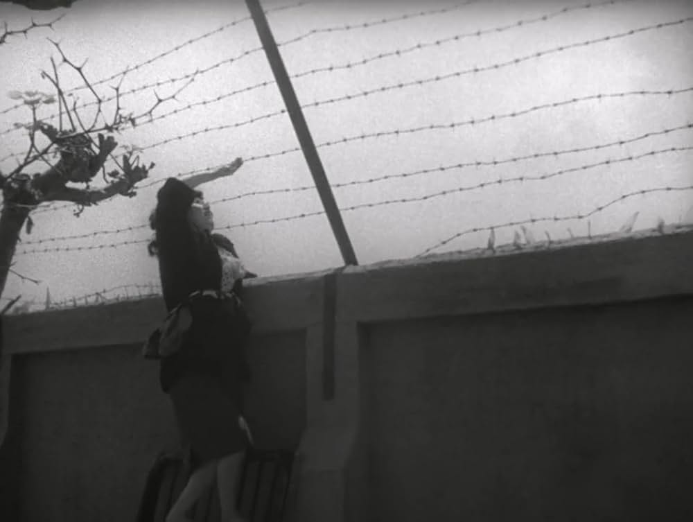 夜の女たちの画像