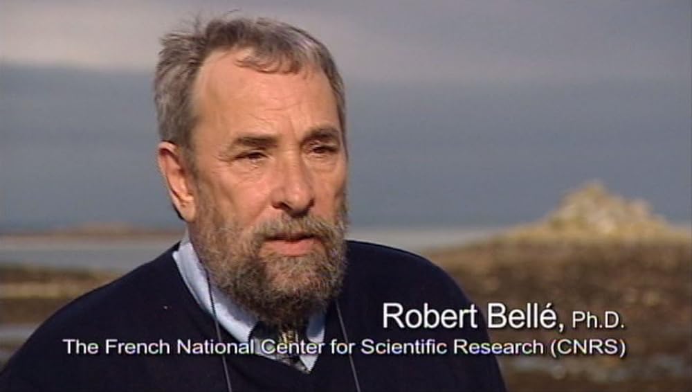 モンサントの不自然な食べものの画像