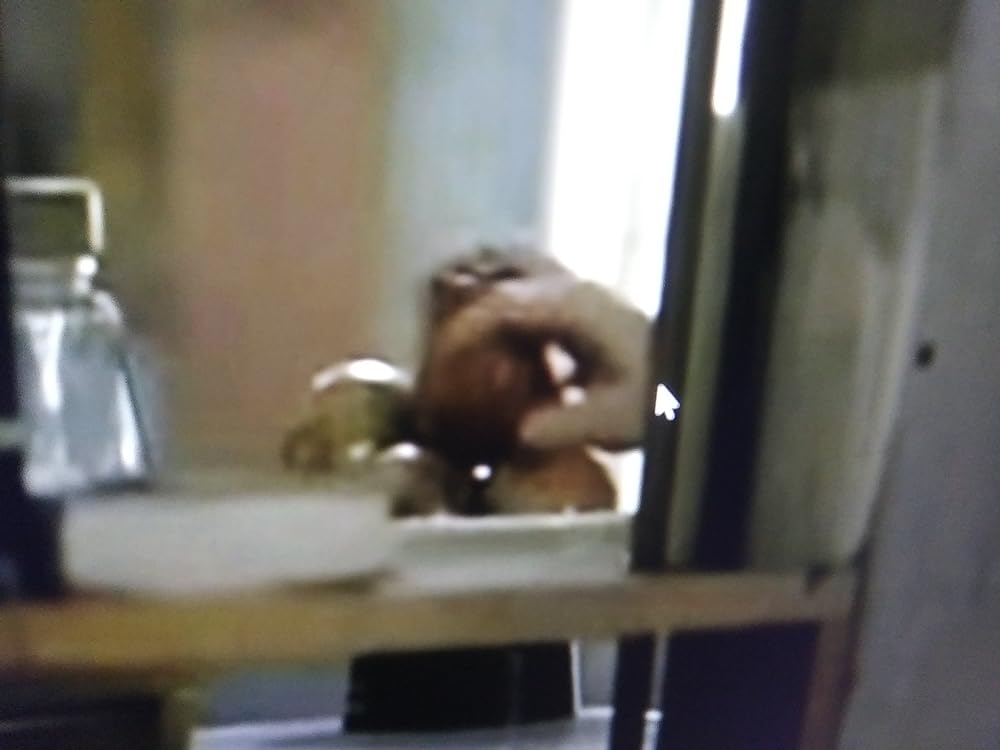 クイックシルバーの画像