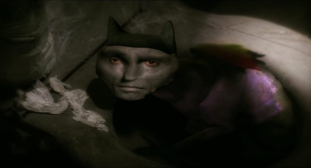 ミラーマスクの画像