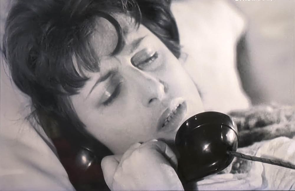 アモーレの画像