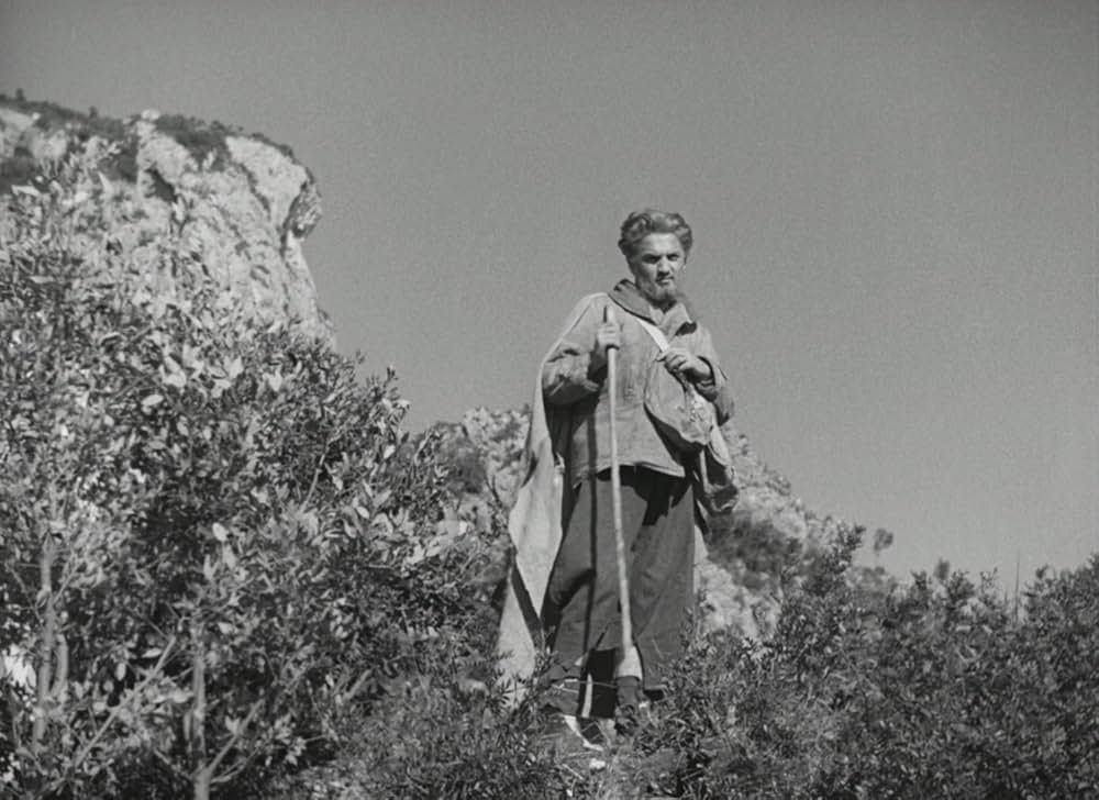 アモーレの画像