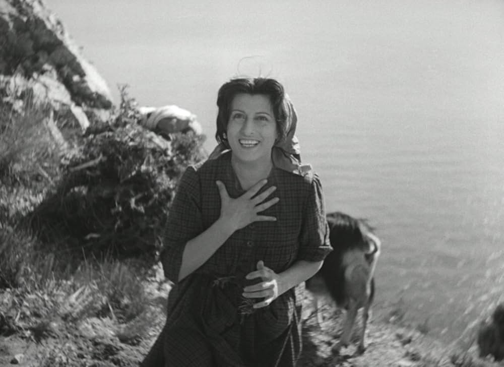 アモーレの画像