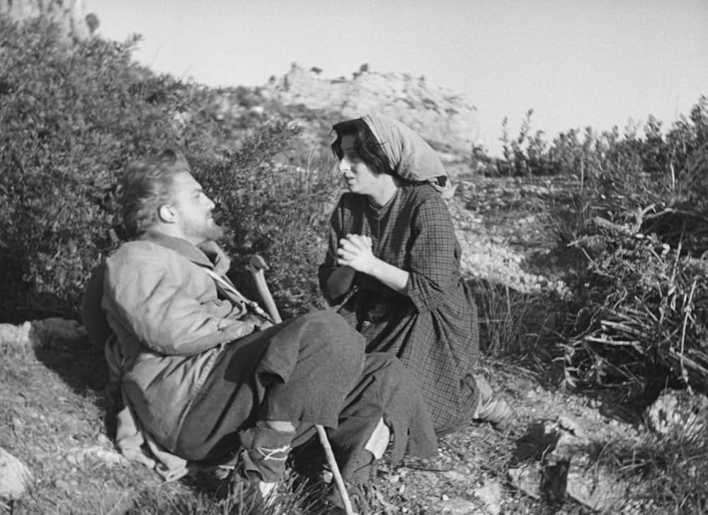 アモーレの画像