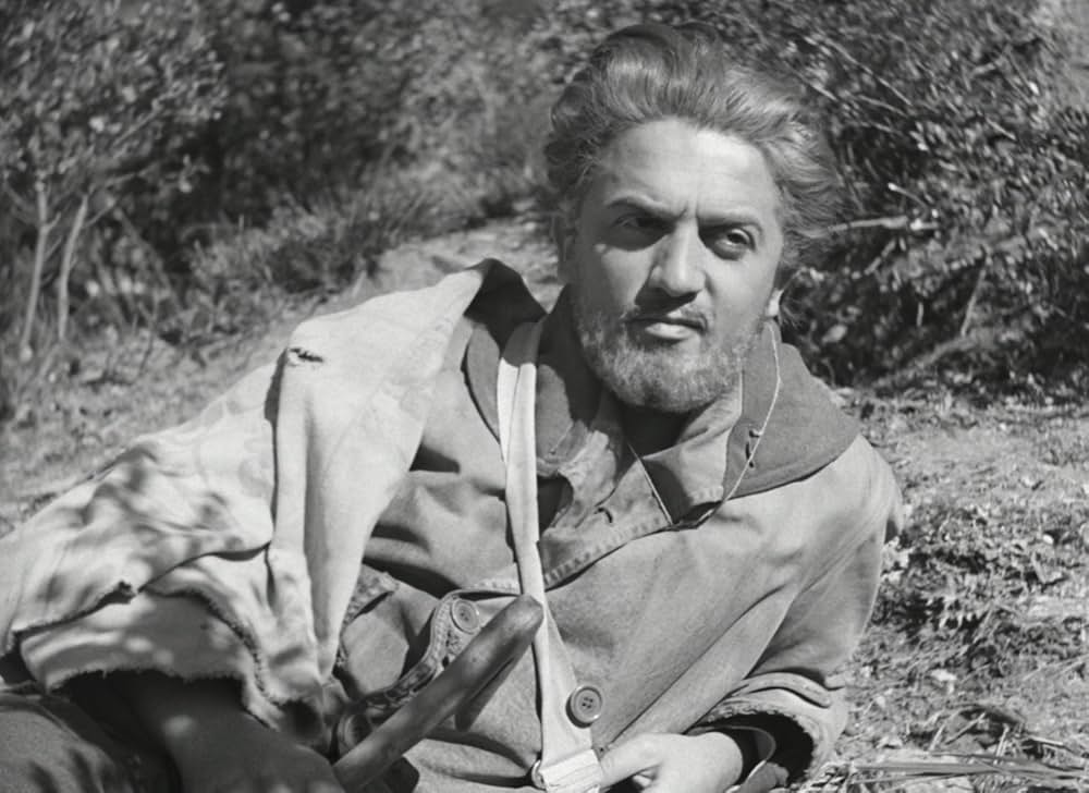 アモーレの画像