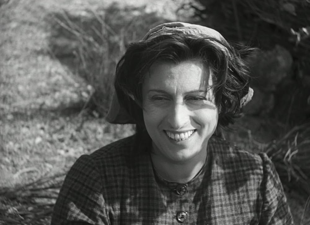 アモーレの画像