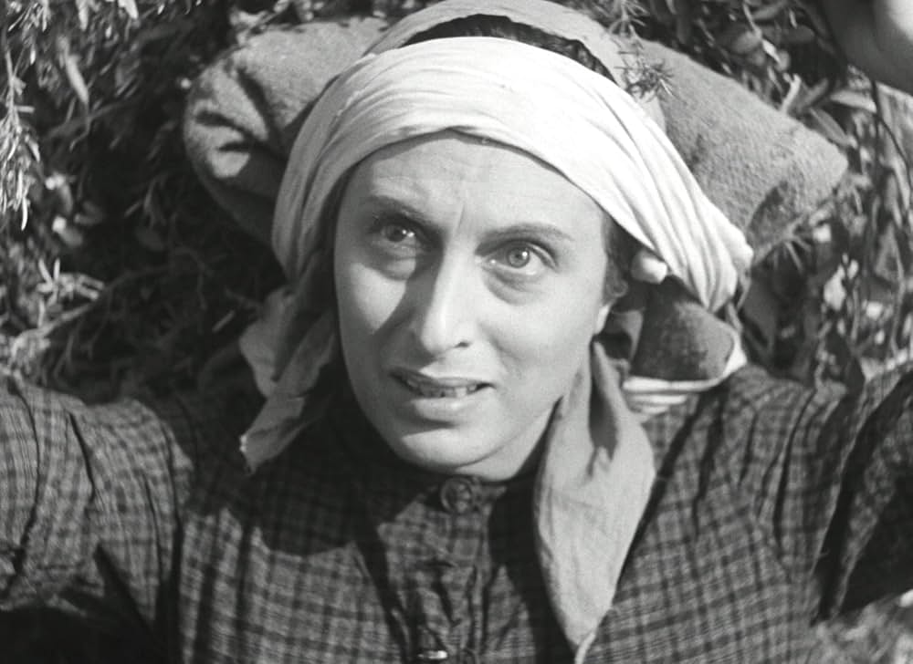 アモーレの画像