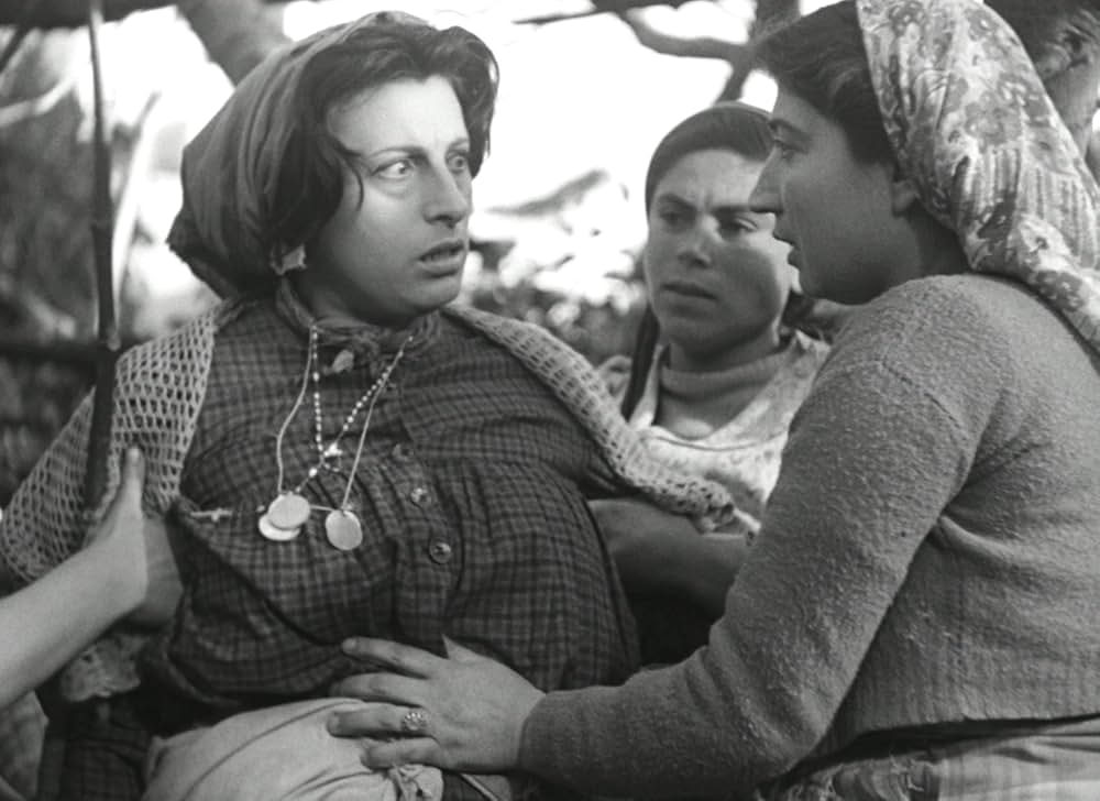 アモーレの画像