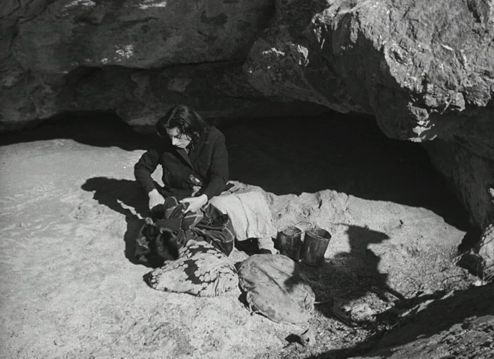 アモーレの画像