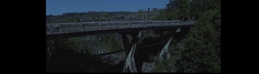 アダン 禁断の果実の画像