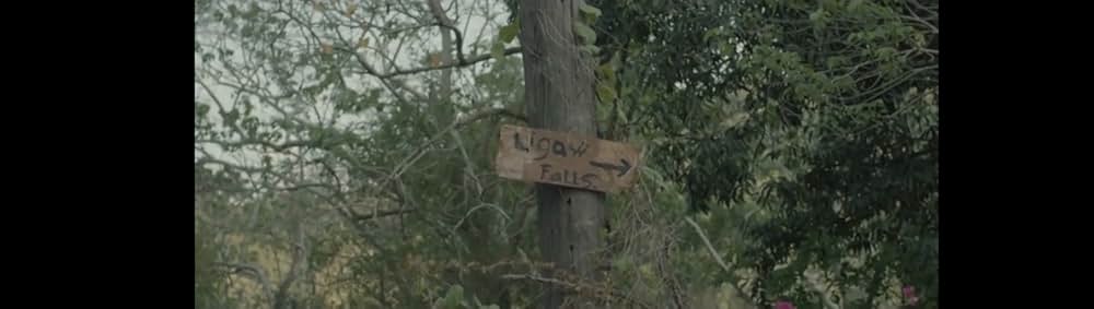 アダン 禁断の果実の画像