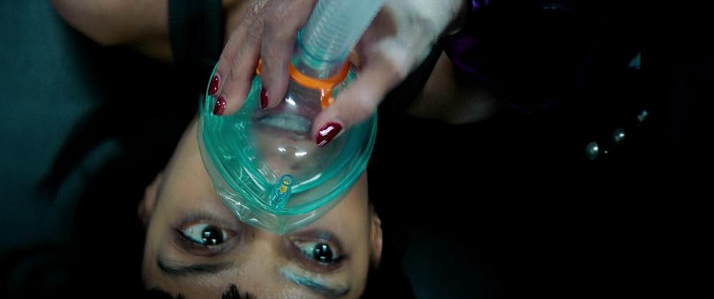 ポライト・ソサエティの画像