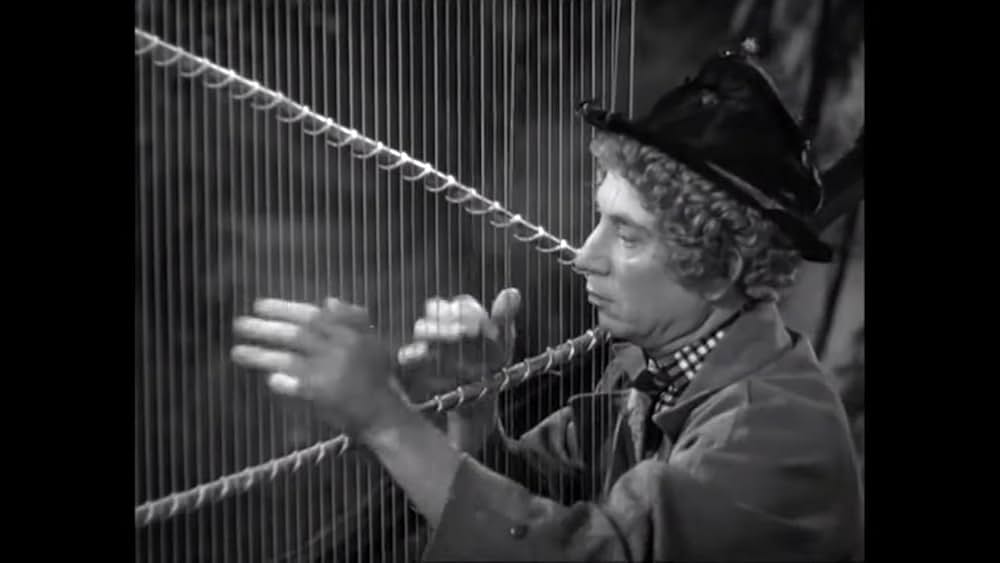 マルクスの二挺拳銃の画像