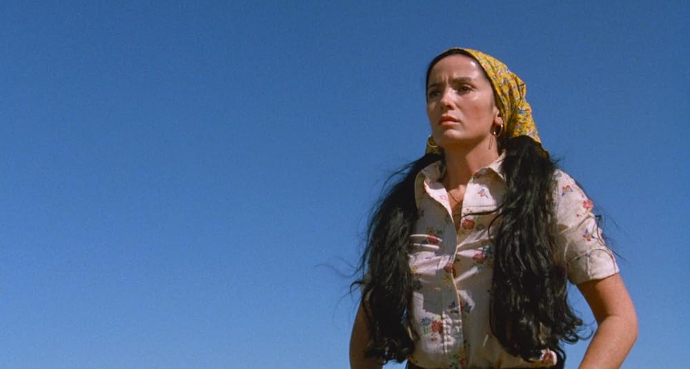 マジェスティックの画像